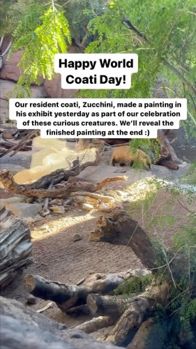 Video post from visittucson.