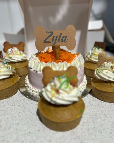 Carousel post from k9playtimedoggydaycare.