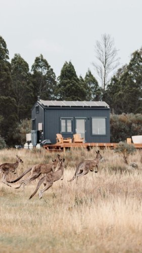 Video post from in2thewild.aus.