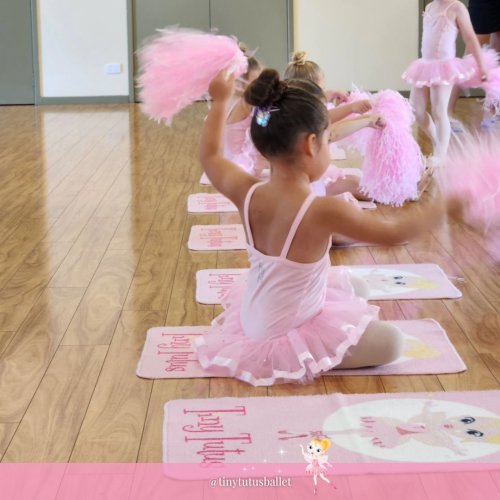 Photo post from tinytutusballet.