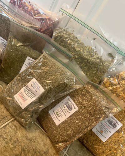 Photo post from carapacecritters.