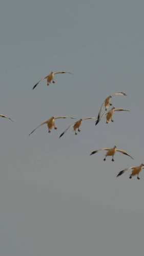 Video post from northernskiesoutfitters.