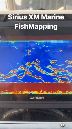 Video post from ejs_fishing_charters.