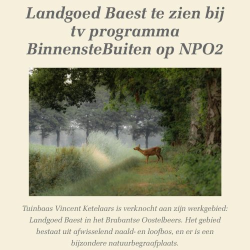 Photo post from visitoirschot.