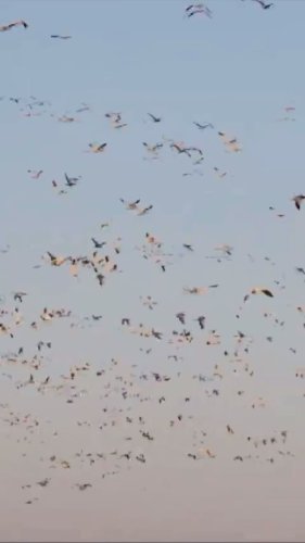 Video post from northernskiesoutfitters.