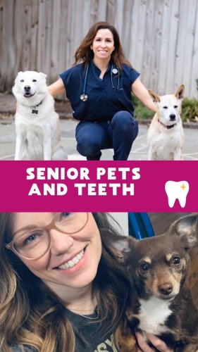 Video post from toothy.thomson.