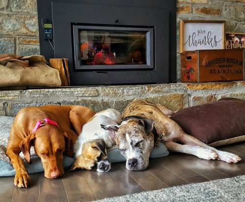 Photo post from regencyfire.