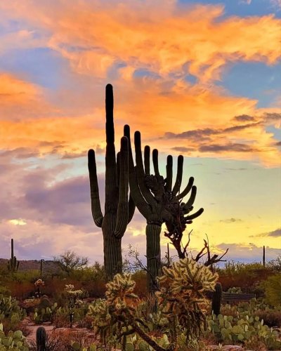 Photo post from visittucson.