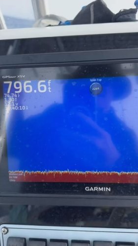 Video post from ejs_fishing_charters.