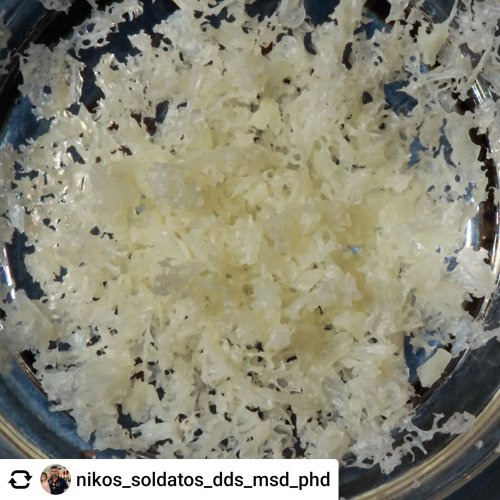 Photo post from geistlich_north_america.
