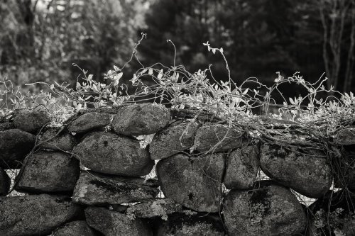 Photo post from artscopemagazine.