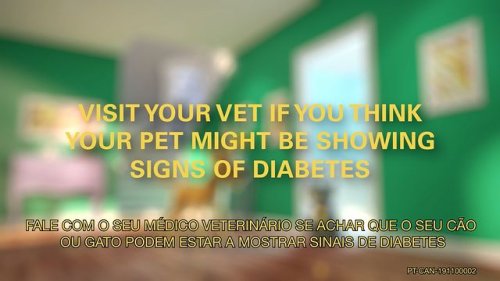 Video post from clinica_veterinaria_dourosul.