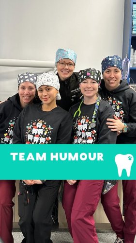 Video post from toothy.thomson.