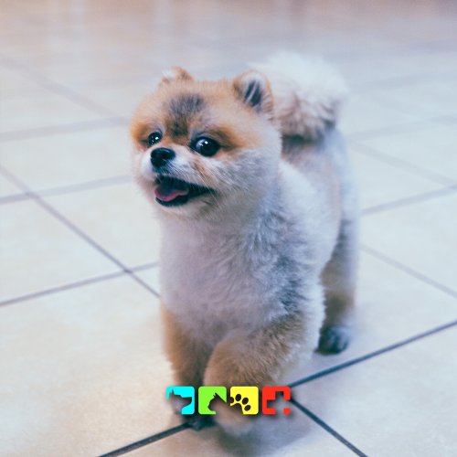 Photo post from medicalpettj.