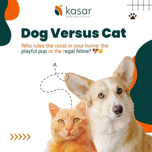 Photo post from kasarstays.