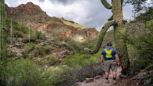 Photo post from visittucson.