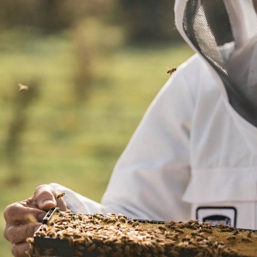 Carousel post from comvita_au.