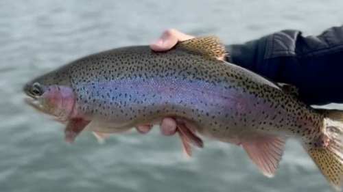 Video post from confluenceoutfitters.