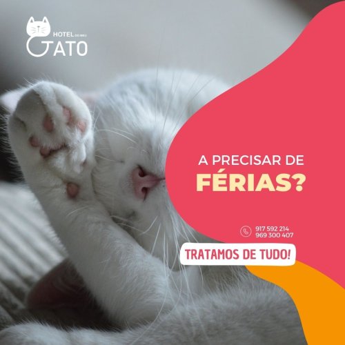 Photo post from clinica_veterinaria_dourosul.