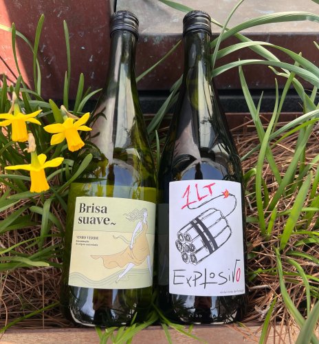 Photo post from dandywineshop.