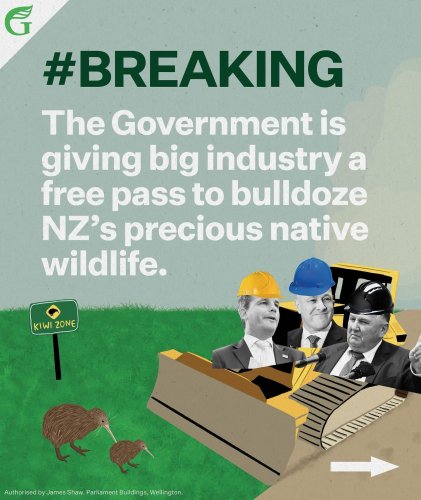 Carousel post from nzgreenparty.