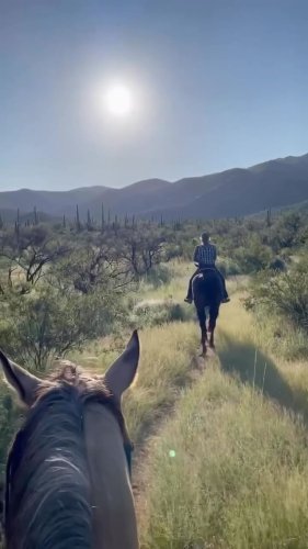 Video post from visittucson.