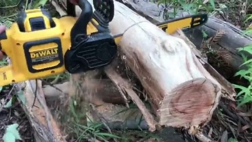 Video post from dewalttough.