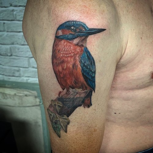 Tattoo Ideas — Kingfisher Watercolor ...