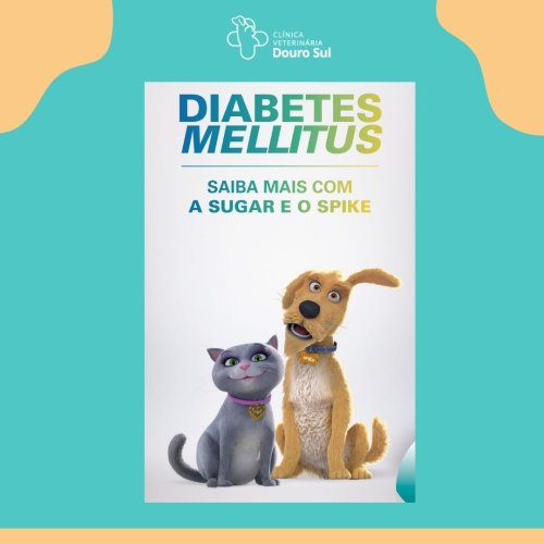 Carousel post from clinica_veterinaria_dourosul.