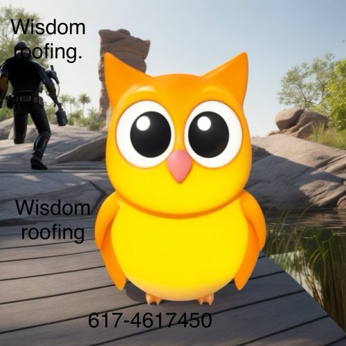 Photo post from wisdomroofingusa.