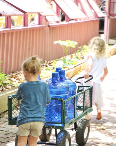 Carousel post from currumbinvalleyharvest.