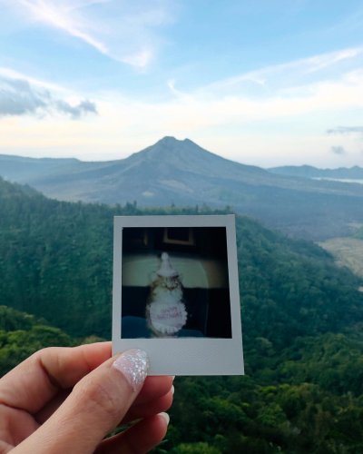 PostPhoto