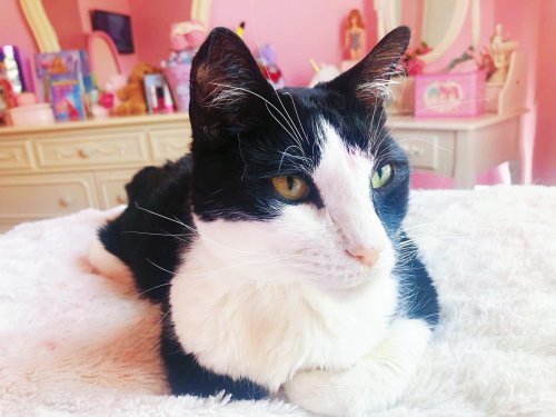 Photo post from margaritabloom.