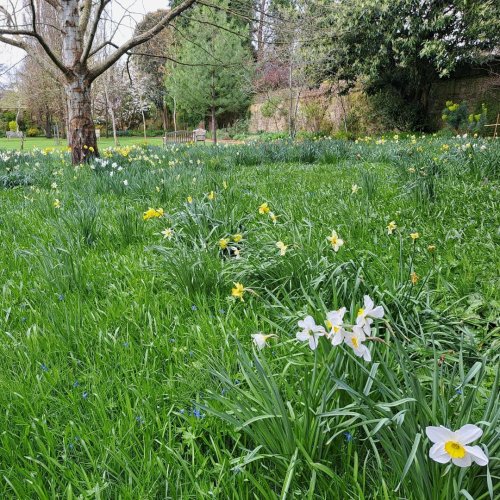 Photo post from wadhamoxford.