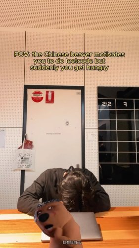 Video post from monashcoding.