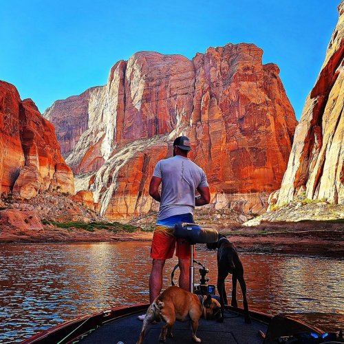 Photo post from reddirthatco.