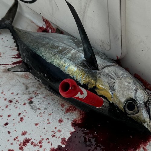 Carousel post from ejs_fishing_charters.
