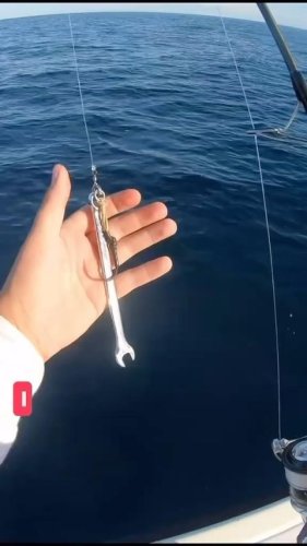 Video post from ejs_fishing_charters.