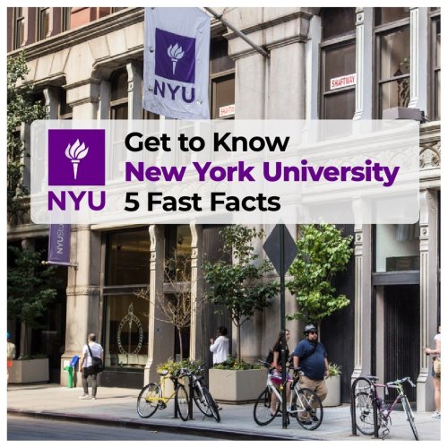 Carousel post from knovva_academy.