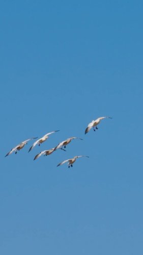 Video post from northernskiesoutfitters.