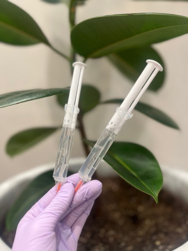 Photo post from trilliumdental.