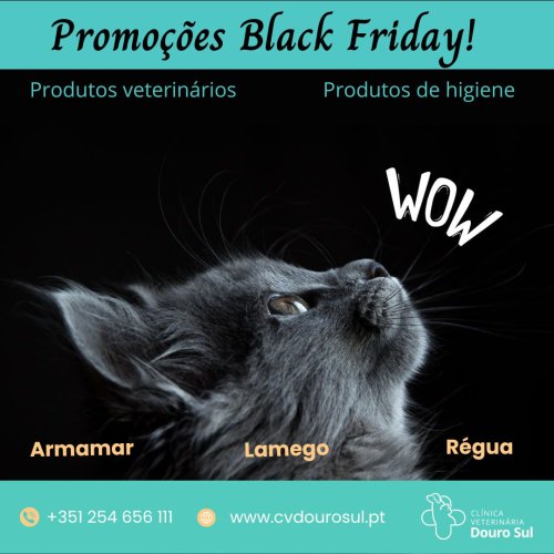 Carousel post from clinica_veterinaria_dourosul.