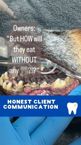 Video post from toothy.thomson.
