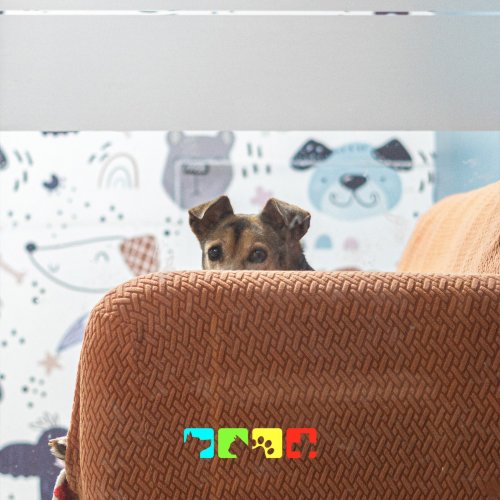 Photo post from medicalpettj.