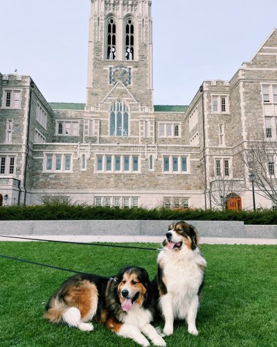 Photo post from bostoncollege.