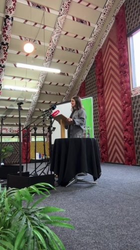 Video post from nzgreenparty.