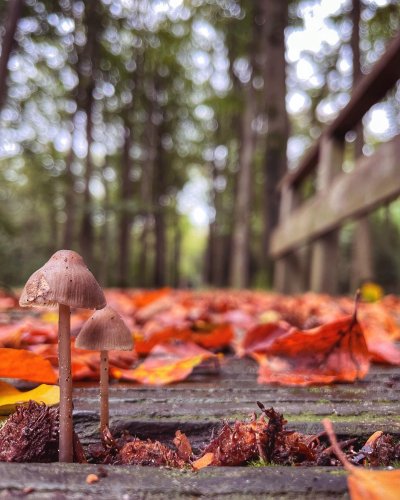 Photo post from visitoirschot.