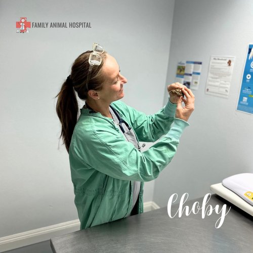 Carousel post from familyanimalhospitalcm.