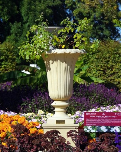Carousel post from chronos_collection.