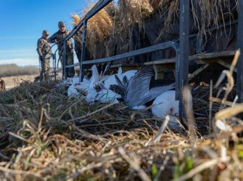Carousel post from northernskiesoutfitters.